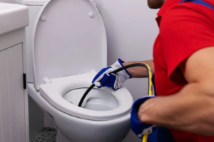inspection of a blocked toilet