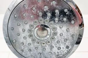 fix shower head