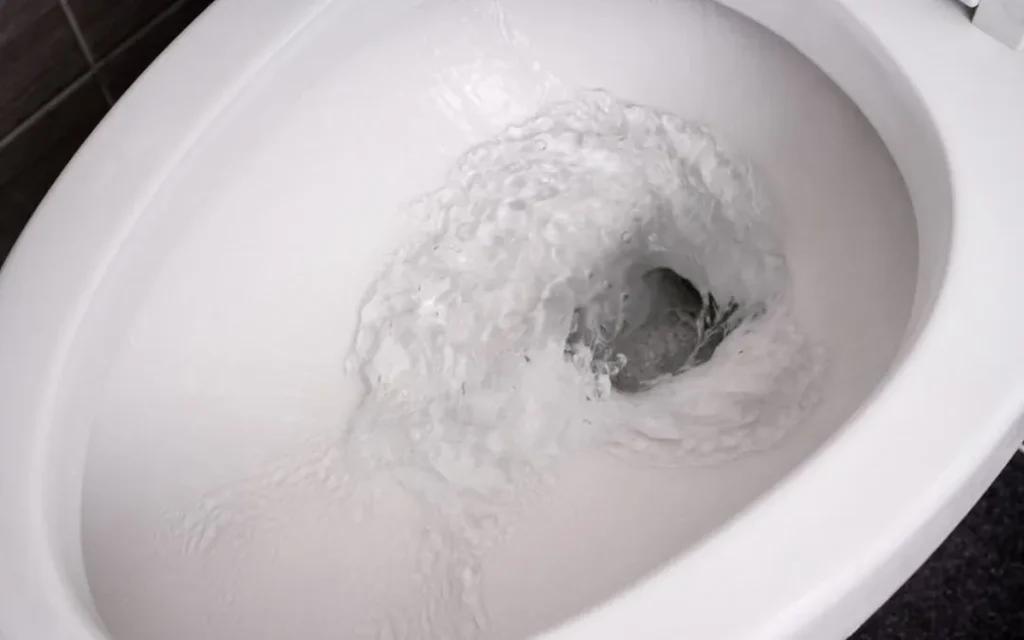 how to drain toilet water