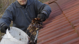 Cleaning gutters from leave