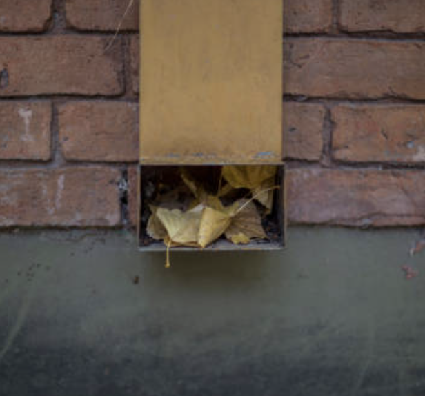 Best Ways To Stop Leaves Blocking Gutters