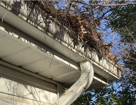 Best Ways To Stop Leaves Blocking Gutters