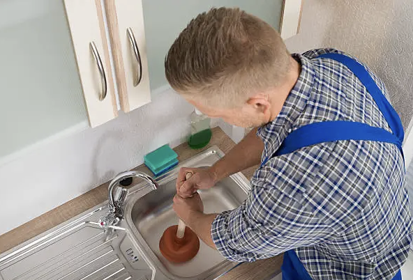 kitchen sink plunger